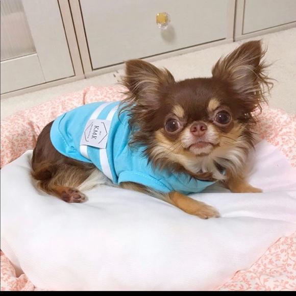 Blue 👗✨🦋💦💕 - Picture 5 of 13